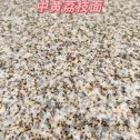 漯河黄金麻中黄荔枝面