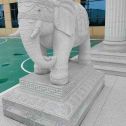 漯河 白麻花岗岩动物异形石雕-大象