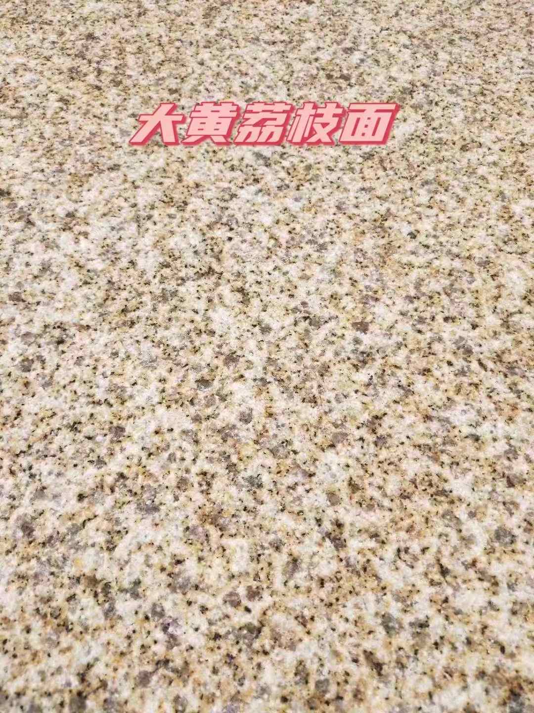 漯河黄金麻大黄荔枝面